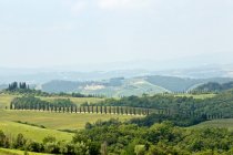Scena rurale, Toscana, Italia — Foto stock