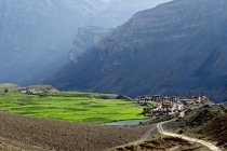 Champs et village près de Kibber, Himachal Pradesh, Inde, Asie — Photo de stock
