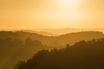 Misty landscape at sunrise, Prades, Midi Pyrenees, France — Stock Photo