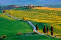 Landstraße namens Gladiatorenweg und Terrapille-Farm, Pienza, Toskana, Italien — Stockfoto