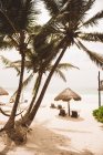 Palme an Liegestühlen und Schatten am Strand, Tulum, Mexiko — Stockfoto