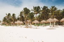 Palm trees and sun shades on beach, Tulum, Mexico — Stock Photo