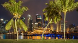 Palm trees in front of financial district at night, Singapore — Stock Photo