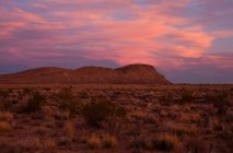 Coucher de soleil dans l'aire nationale de conservation Red Rock Canyon, Nevada, États-Unis — Photo de stock