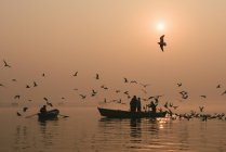Pescadores en barcos de pesca, aves volando alrededor, Varanasi, Uttar - foto de stock