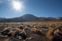 Altiplano, Hochebene, San Pedro de Atacama, Antofagasta, Chile — Stockfoto