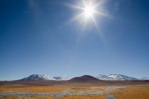 Altiplano, High Plateau, San Pedro de Atacama, Антофагаста, Чили — стоковое фото