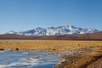 Altiplano, Planalto, San Pedro de Atacama, Antofagasta, Chile — Fotografia de Stock