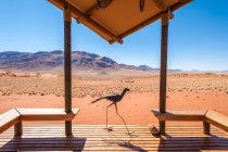 Vista do alojamento de acampamento de luxo na Reserva Natural de Namibrand, Namíbia — Fotografia de Stock