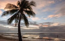 Playa de Anda al atardecer, Isla Bohol, Visayas, Filipinas - foto de stock