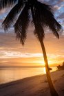 Anda Beach at sunset, Bohol Island, Visayas, Philippines — Stock Photo