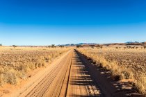 Camino de tierra en paisaje llano en la Reserva Natural de Namibrand - foto de stock