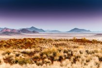Paesaggio all'alba nella Riserva Naturale della Namibia, Namibia — Foto stock