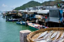 Korb mit frischem Fisch, Tai O, Insel Lantau, Hongkong, China — Stockfoto
