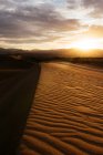 Mesquite Dunes de sable à l'aube, Death Valley National Park, Californie, États-Unis — Photo de stock