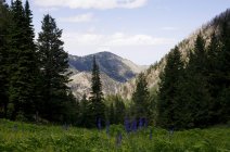 Stansbury Mountains, Tooele County, Utah, USA — Stock Photo