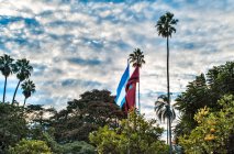 Флаги Аргентины и Сальты — стоковое фото