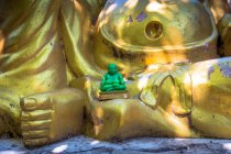 Будда, історичне місто Аюттхая, Таїланд — стокове фото