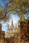 Temple Wat Phra Si Sanphet avec arbres et ruines, Ayutthaya, Thaïlande — Photo de stock