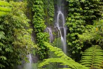 Benang Kelambu Wasserfall, Lombok, Indonesien — Stockfoto