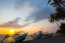Bateau de pêche silhouette et palmiers au coucher du soleil sur la plage de Senggigi — Photo de stock