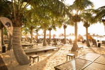 Palmen und leere Liegestühle am Strand, Varna, Bulgarien — Stockfoto