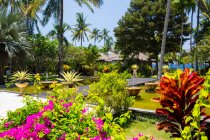 Орнаментальні сади на тропічному курорті, Кандидаса, Балі, Індонезія — стокове фото