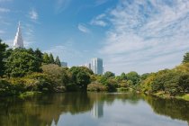 Вид на озеро в Национальном саду Синдзю Гьён, Токио, Япония — стоковое фото