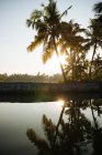 Keralan backwaters, North Paravoor, Kerala, Inde — Photo de stock