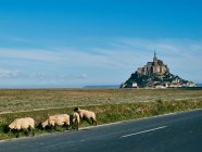 Mont Saint-Michel, Normandy, France — Stock Photo