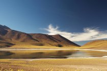 Altiplano, San Pedro de Atacama, Чили — стоковое фото