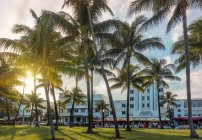 Hotel Art Deco Ocean Drive e palme a Lummus Park, Miami B — Foto stock