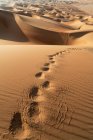 Крок на піщаний дюн у Пустельній пустелі. — стокове фото