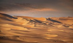 Dunas de areia gigantes no deserto do bairro vazio — Fotografia de Stock