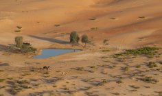 Oasis dans le désert du quartier vide — Photo de stock