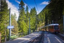 Train panoramique Glacier Express, Zermatt, Alpes suisses, Suisses — Photo de stock