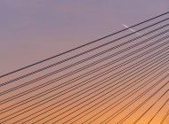 Erasmus Bridge, Rotterdam, Netherlands — Stock Photo