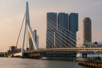 Erasmus Bridge, Rotterdam, Pays-Bas — Photo de stock