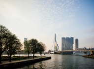 Erasmusbrücke, Rotterdam, Niederlande — Stockfoto