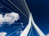 Erasmus Bridge, Wilhelminakade, Roterdão, Países Baixos — Fotografia de Stock