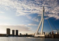 Erasmusbrücke, Wilhelminakade, Rotterdam, Niederlande — Stockfoto