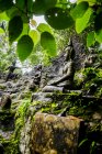 Statues bouddhistes dans le jardin secret de Bouddha, Koh Samui, Thaïlande — Photo de stock