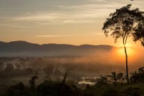 Lever de soleil sur le Myanmar et le Laos et la rivière Ruak, Triangle d'or, C — Photo de stock