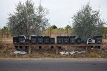 Ряд почтовых ящиков перед виноградником, Калифорния, США — стоковое фото