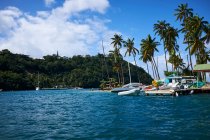 Vue panoramique, Sainte-Lucie, Caraïbes — Photo de stock