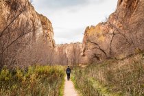 Escursioni donna, Vista posteriore, Calf Creek Falls near Escalante, Utah, — Foto stock