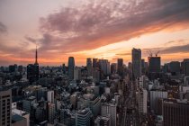 Veduta aerea della città densamente popolata, Tokyo, Giappone — Foto stock
