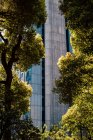 Árvores contra fachada de edifício alto, Tóquio, Japão — Fotografia de Stock
