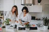Deux femmes souriantes aux cheveux bruns debout dans une cuisine, préparant des aliments. — Photo de stock