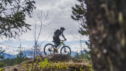 Donna in mountain bike in una foresta tra le montagne canadesi — Foto stock